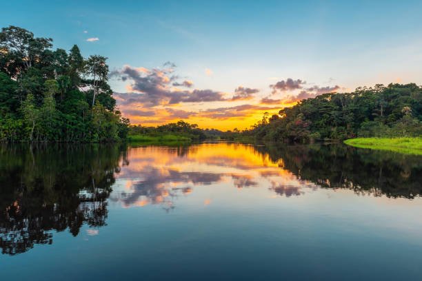 Rio Amazonas