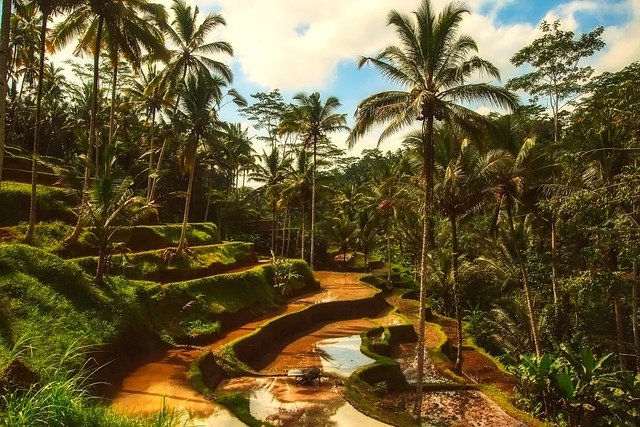 islas fiji
