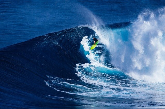 surf