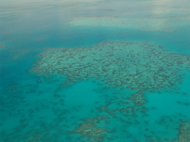 gran barrera de coral Australia