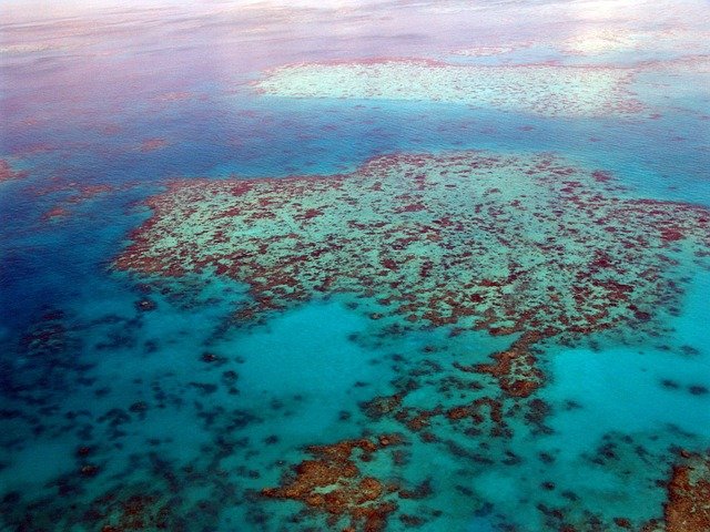 Gran barrera de coral Australia