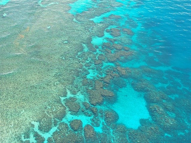 Gran barrera de coral