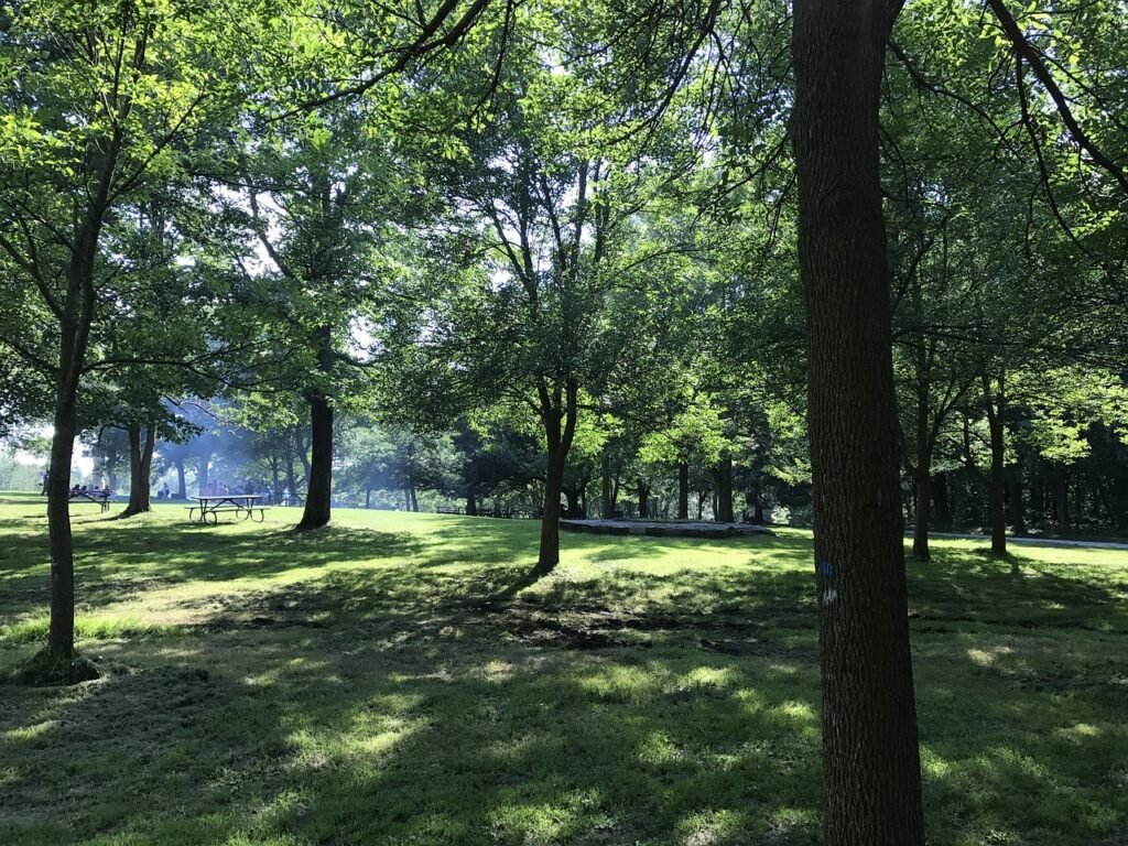 parque monte real MONTREAL