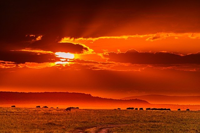 africa