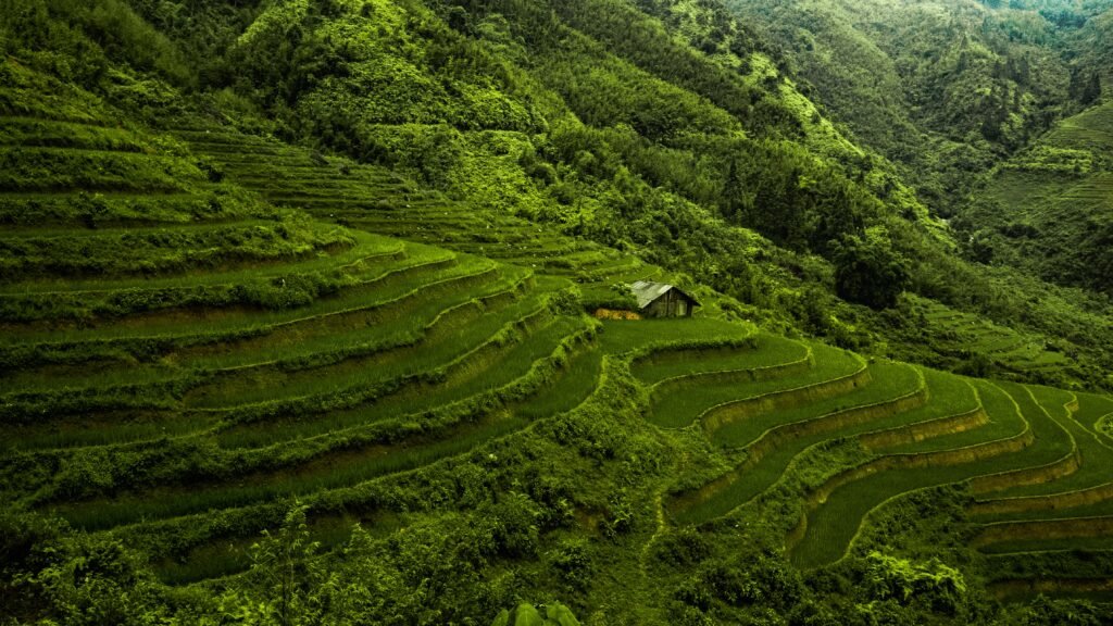 Vietnam: Historia, cultura y paisajes impresionantes