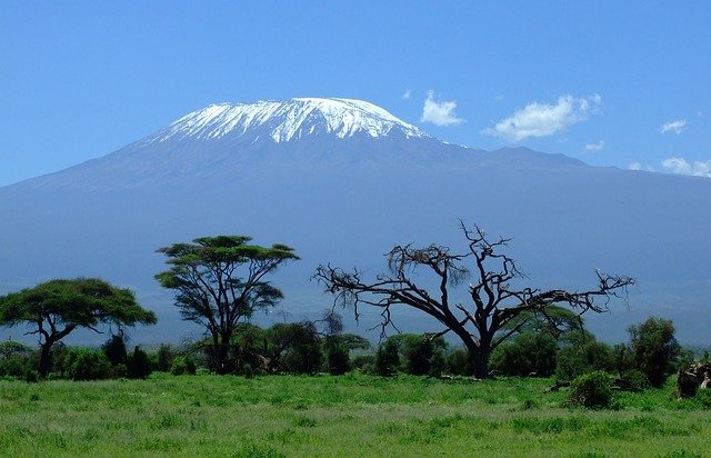 kilimanjaro