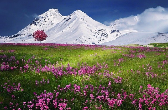 ALPES