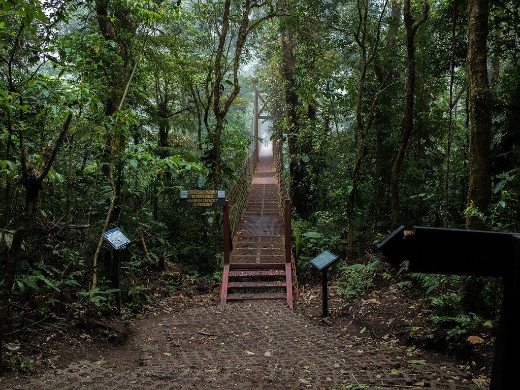 El Bosque Nuboso de Monteverde, Costa Rica