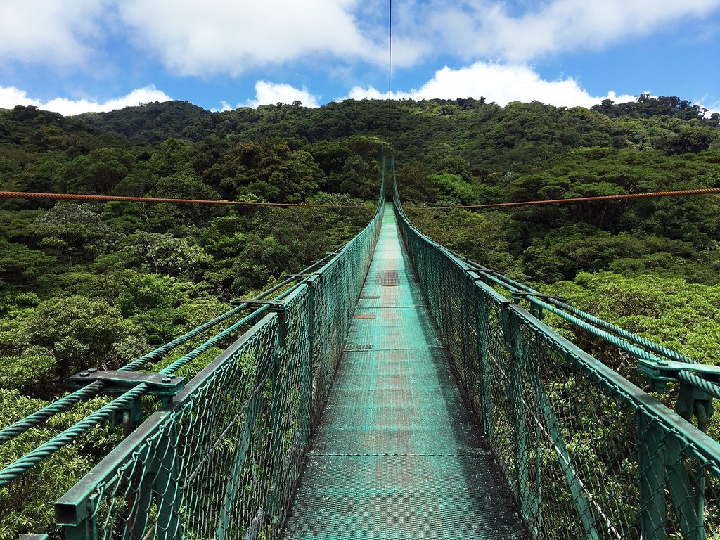Puentes Colgantes en Monteverde, Costa Rica