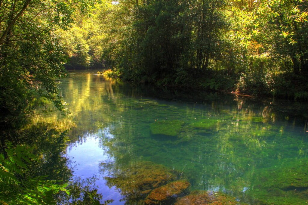 Parque Natural de las Fragas do Eume
