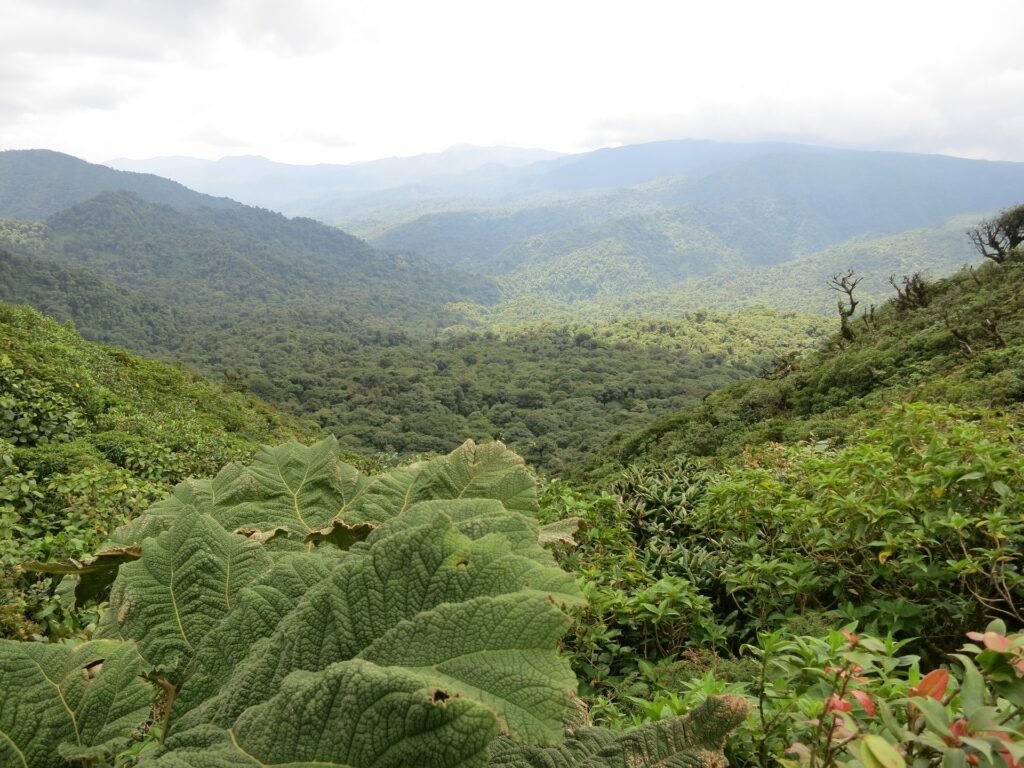 Monteverde, Costa rica