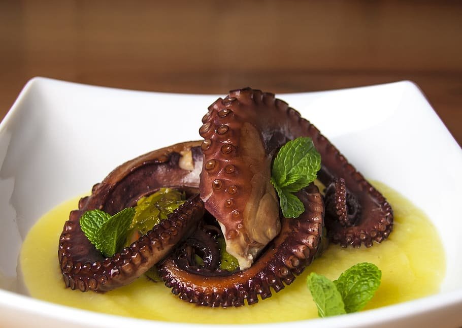 pulpo a la parrilla